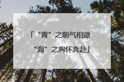 “青”之朝气相邀 “海”之胸怀奔赴