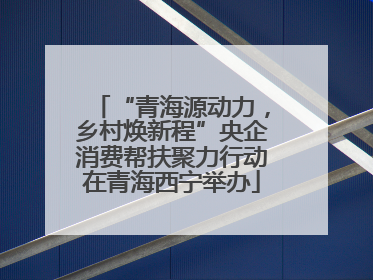 “青海源动力，乡村焕新程”央企消费帮扶聚力行动在青海西宁举办