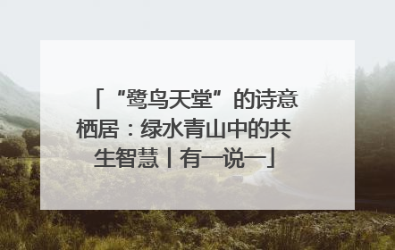 “鹭鸟天堂”的诗意栖居：绿水青山中的共生智慧丨有一说一
