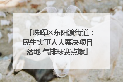 珠晖区东阳渡街道：民生实事人大票决项目落地 气排球赛点燃