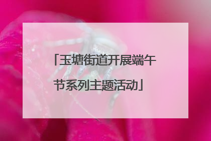 玉塘街道开展端午节系列主题活动