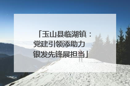玉山县临湖镇：党建引领添助力 银发先锋展担当
