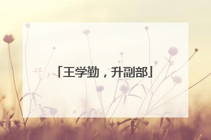 王学勤，升副部