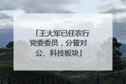 王大军已任农行党委委员，分管对公、科技板块