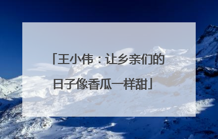 王小伟：让乡亲们的日子像香瓜一样甜