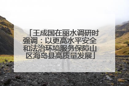 王成国在丽水调研时强调：以更高水平安全和法治环境服务保障山区海岛县高质量发展