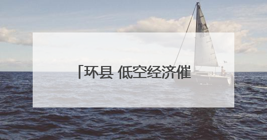 环县 低空经济催生田野新质生产力