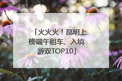 火火火！昆明上榜端午租车、入境游双TOP10