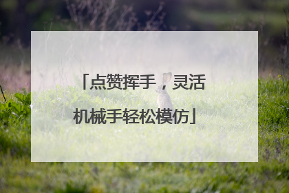 点赞挥手，灵活机械手轻松模仿