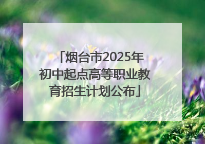烟台市2025年初中起点高等职业教育招生计划公布