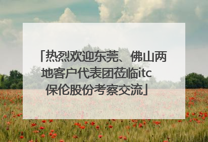 热烈欢迎东莞、佛山两地客户代表团莅临itc保伦股份考察交流