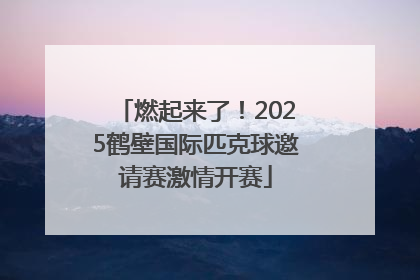 燃起来了！2025鹤壁国际匹克球邀请赛激情开赛