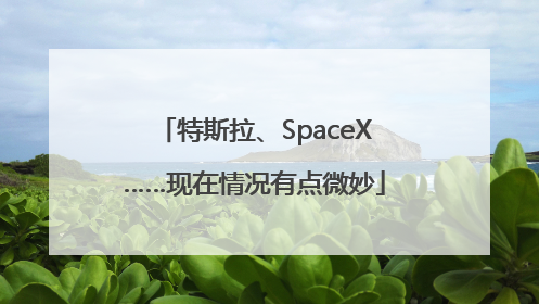 特斯拉、SpaceX……现在情况有点微妙