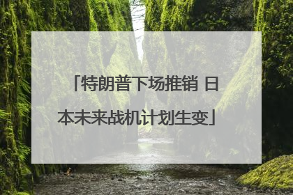 特朗普下场推销 日本未来战机计划生变