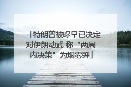 特朗普被曝早已决定对伊朗动武 称“两周内决策”为烟雾弹