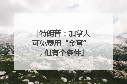 特朗普：加拿大可免费用“金穹”，但有个条件
