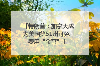 特朗普：加拿大成为美国第51州可免费用“金穹”