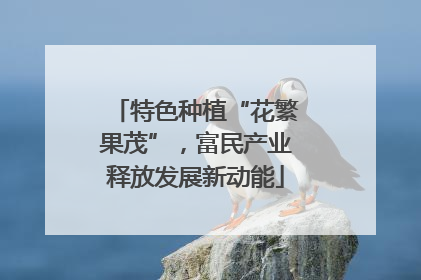 特色种植“花繁果茂”，富民产业释放发展新动能