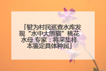 犍为村民巡查水库发现“水中大熊猫”桃花水母 专家：将采集样本鉴定具体种属