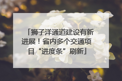 狮子洋通道建设有新进展！省内多个交通项目“进度条”刷新
