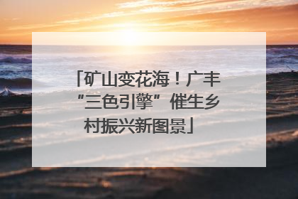 矿山变花海！广丰“三色引擎”催生乡村振兴新图景