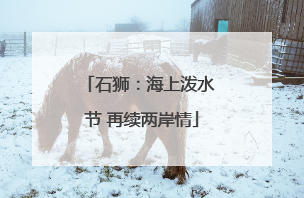 石狮：海上泼水节 再续两岸情