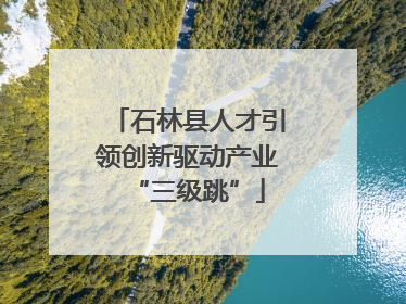 石林县人才引领创新驱动产业“三级跳”