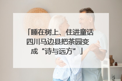 睡在树上、住进童话 四川马边县把茶园变成“诗与远方”