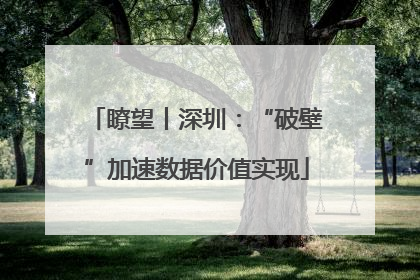 瞭望丨深圳：“破壁”加速数据价值实现