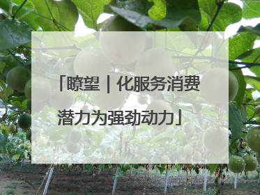 瞭望｜化服务消费潜力为强劲动力