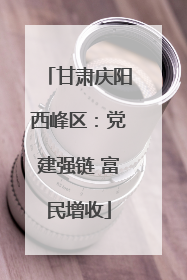 甘肃庆阳西峰区：党建强链 富民增收