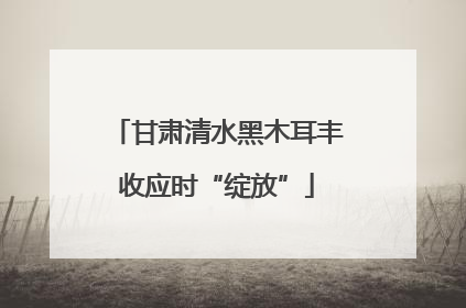 甘肃清水黑木耳丰收应时“绽放”