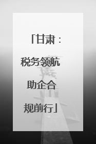 甘肃：税务领航 助企合规前行