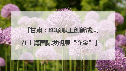 甘肃：80项职工创新成果在上海国际发明展“夺金”