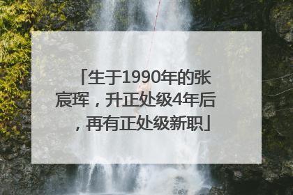 生于1990年的张宸珲，升正处级4年后，再有正处级新职