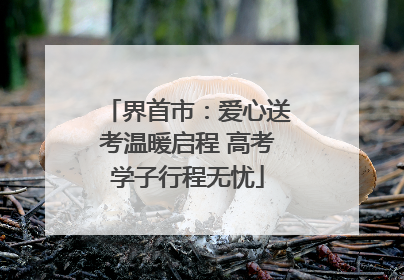 界首市：爱心送考温暖启程 高考学子行程无忧