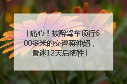 痛心！被醉驾车顶行600多米的交警蒋仲超，昏迷12天后牺牲