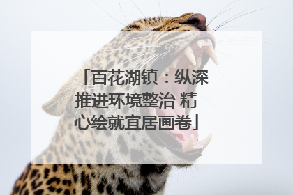 百花湖镇：纵深推进环境整治 精心绘就宜居画卷