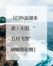 白色浪漫来袭！大田 “五月飞雪” 刷爆朋友圈