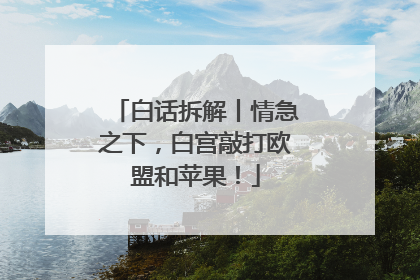 白话拆解丨情急之下，白宫敲打欧盟和苹果！