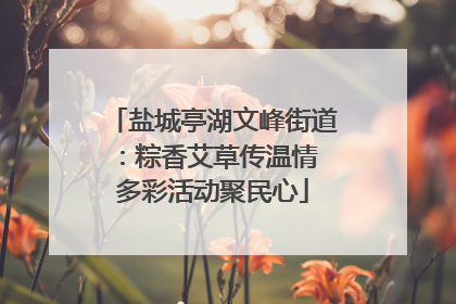盐城亭湖文峰街道：粽香艾草传温情 多彩活动聚民心