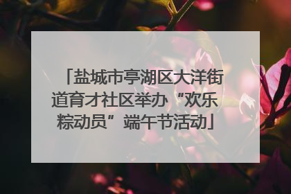 盐城市亭湖区大洋街道育才社区举办“欢乐粽动员”端午节活动
