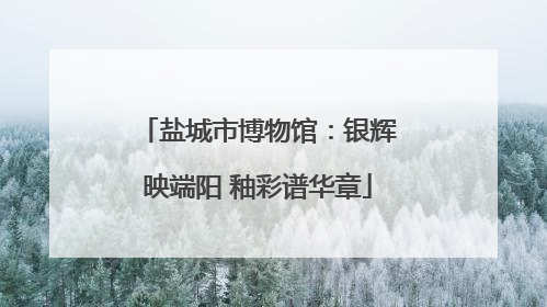 盐城市博物馆：银辉映端阳 釉彩谱华章