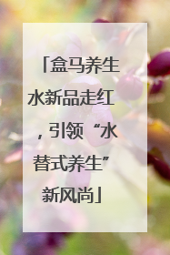 盒马养生水新品走红，引领“水替式养生”新风尚