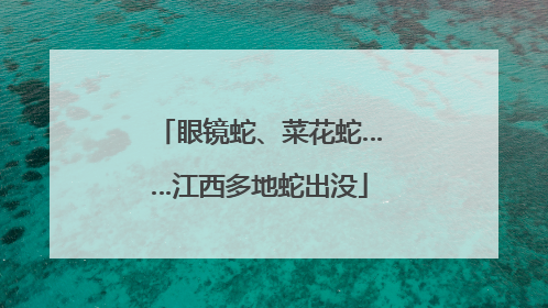 眼镜蛇、菜花蛇……江西多地蛇出没
