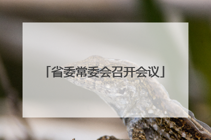 省委常委会召开会议