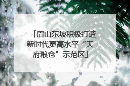 眉山东坡积极打造新时代更高水平“天府粮仓”示范区