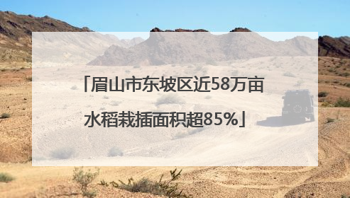 眉山市东坡区近58万亩水稻栽插面积超85%