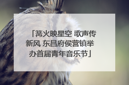 篝火映星空 歌声传新风 东昌府侯营镇举办首届青年音乐节