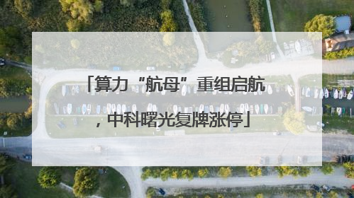 算力“航母”重组启航，中科曙光复牌涨停